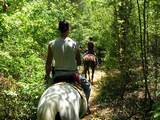 Tour of Black Horse Run