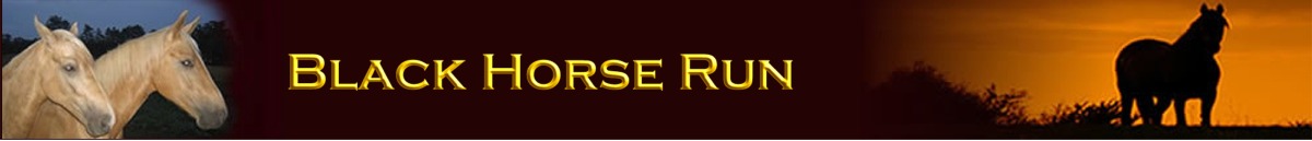 Welcome to Black Horse Run
