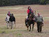 Horses with people