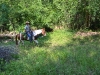 romeo-in-woods_0