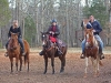 img_0541a