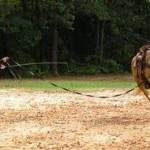 training2