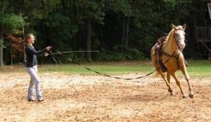 training2